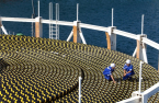 LS Cable's patent victory over Taihan Electric signals further disputes