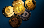 BlackRock sees digital assets at critical turning point
