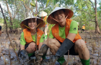 SK Innovation to restore Vietnam’s mangrove forests in ESG initiative